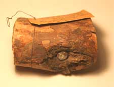 bullet in log