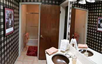 Bathroom Pano