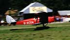 Tiger Moth